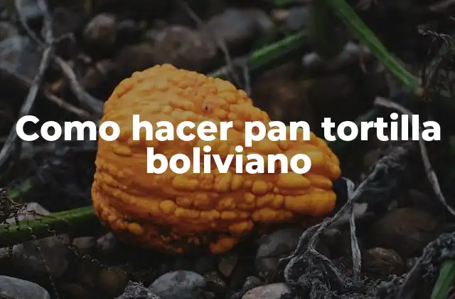 Como Hacer Pan Tortilla Boliviano