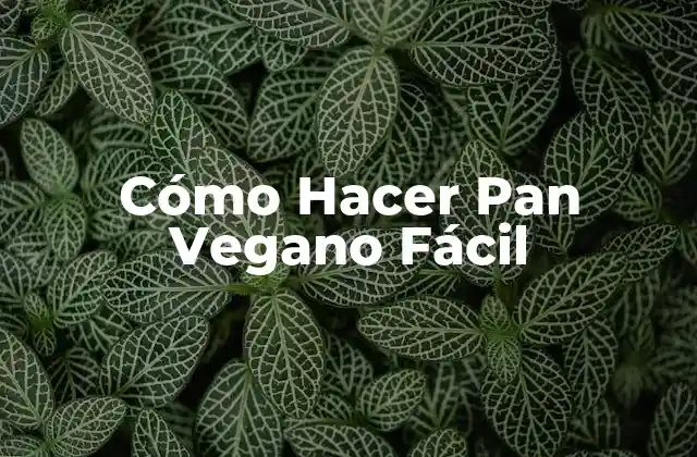 ¿Qué es el Pan Vegano y para Qué Sirve?