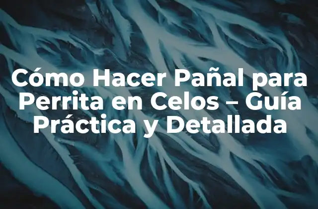 Cómo Hacer Pañal para Perrita en Celos – Guía Práctica y Detallada