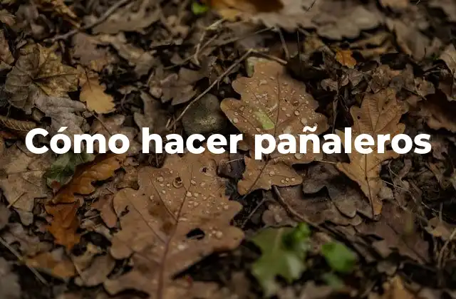 Cómo Hacer Pañaleros