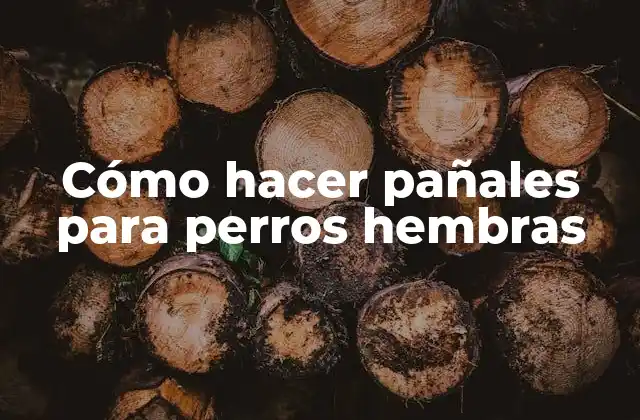 Cómo Hacer Pañales para Perros Hembras