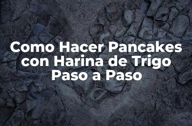 ¿Qué son los Pancakes con Harina de Trigo?