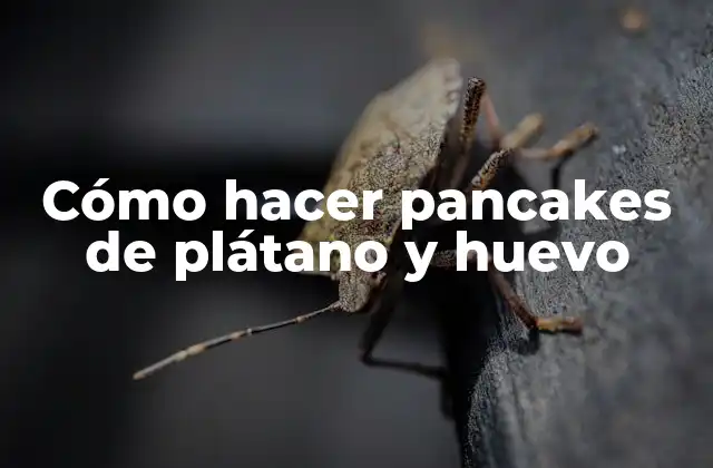 Cómo Hacer Pancakes de Plátano y Huevo