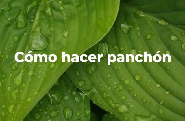 Cómo Hacer Panchón