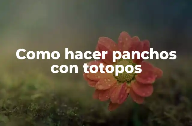 Como Hacer Panchos con Totopos