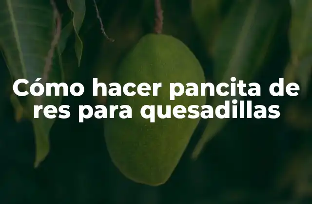 Cómo Hacer Pancita de Res para Quesadillas
