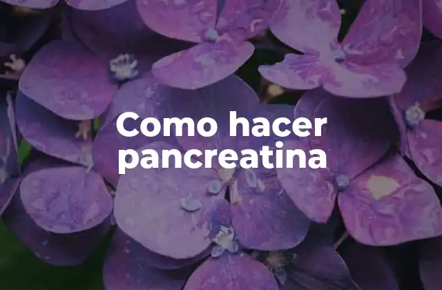 Como Hacer Pancreatina