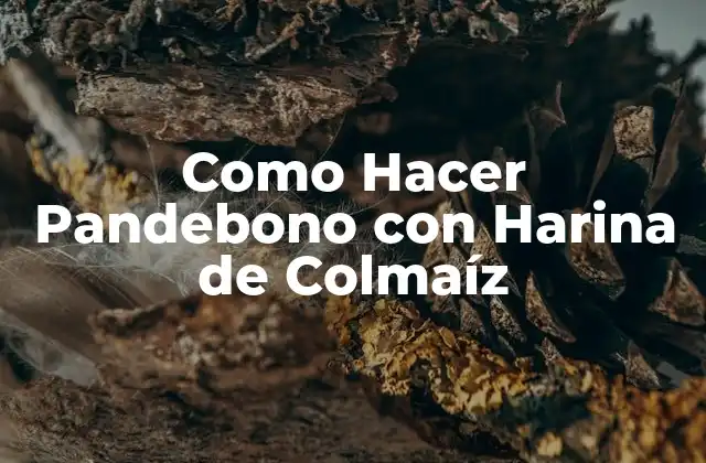 Como Hacer Pandebono con Harina de Colmaíz