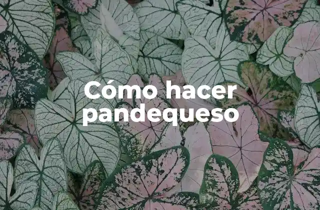 Cómo Hacer Pandequeso