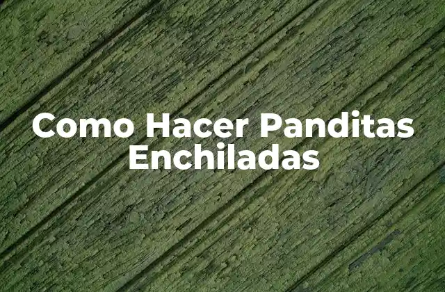 Como Hacer Panditas Enchiladas