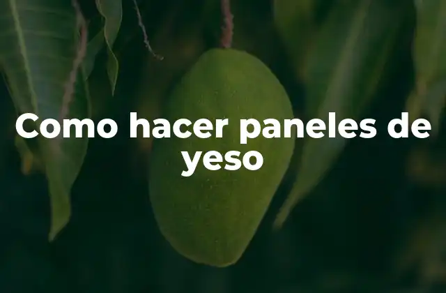 Como Hacer Paneles de Yeso