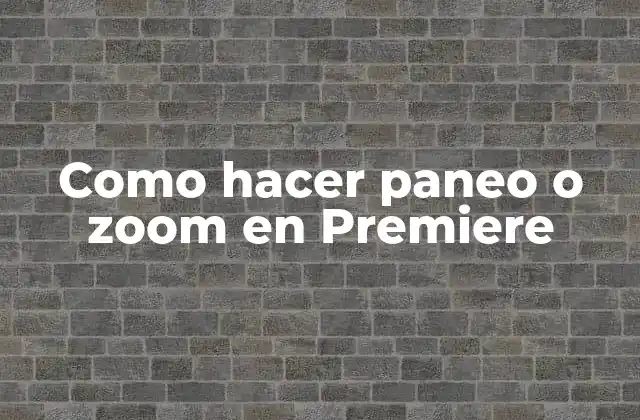 Como Hacer Paneo o Zoom en Premiere