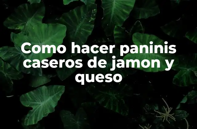 Como Hacer Paninis Caseros de Jamon y Queso