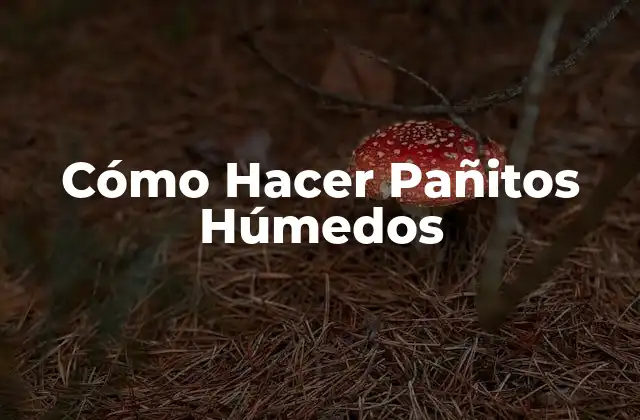 Cómo Hacer Pañitos Húmedos
