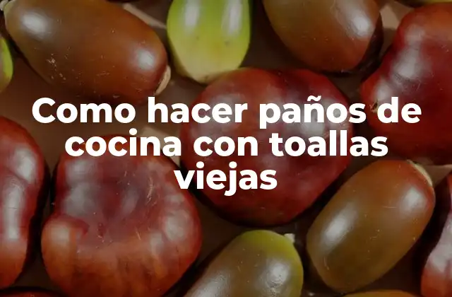 Como Hacer Paños de Cocina con Toallas Viejas