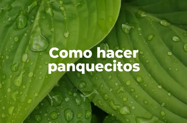 Que son los panquecitos