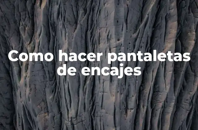 Como Hacer Pantaletas de Encajes
