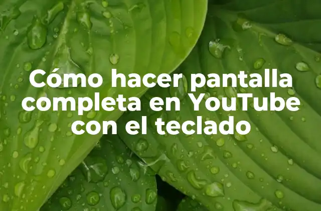 Cómo Hacer Pantalla Completa en Youtube con el Teclado