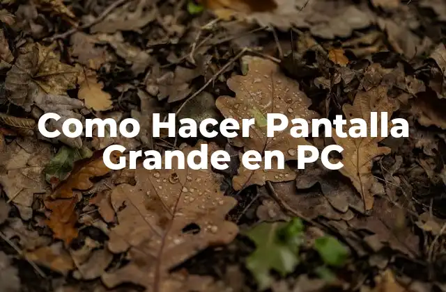 Como Hacer Pantalla Grande en Pc