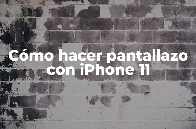 Cómo Hacer Pantallazo con Iphone 11