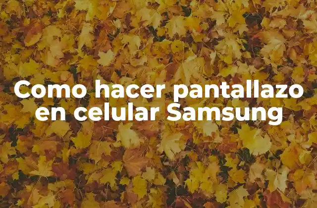 Como Hacer Pantallazo en Celular Samsung