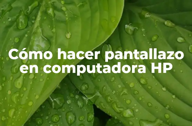 Cómo Hacer Pantallazo en Computadora Hp