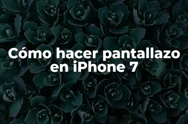 Cómo Hacer Pantallazo en Iphone 7