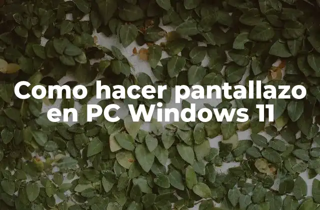 Como Hacer Pantallazo en Pc Windows 11