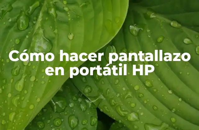 Cómo Hacer Pantallazo en Portátil Hp