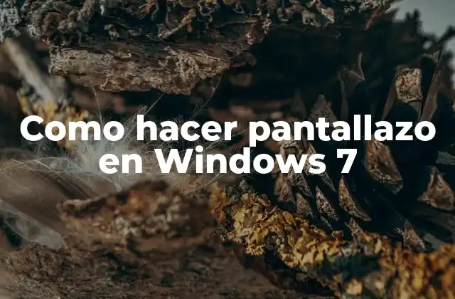 Como Hacer Pantallazo en Windows 7 2 Como hacer pantallazo en Windows 7