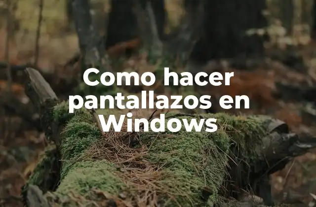 Como Hacer Pantallazos en Windows