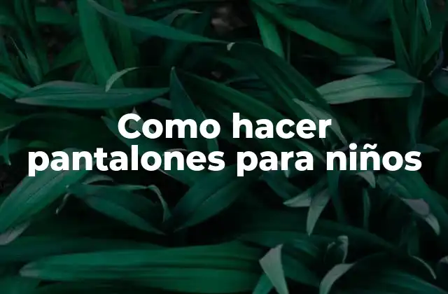 Como Hacer Pantalones para Niños