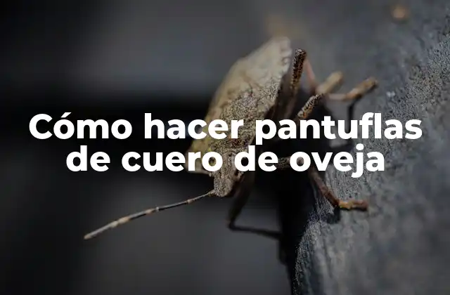 Cómo Hacer Pantuflas de Cuero de Oveja