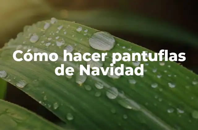 Cómo Hacer Pantuflas de Navidad