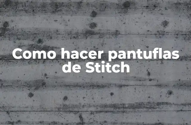 ¿Qué son las pantuflas de Stitch?
