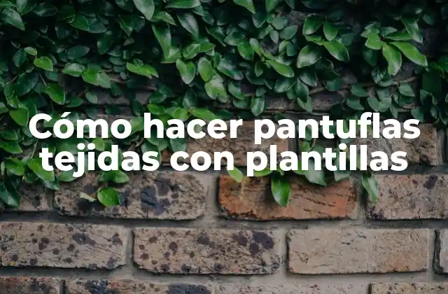 Cómo Hacer Pantuflas Tejidas con Plantillas