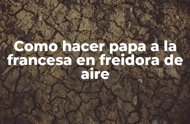 Como Hacer Papa a la Francesa en Freidora de Aire