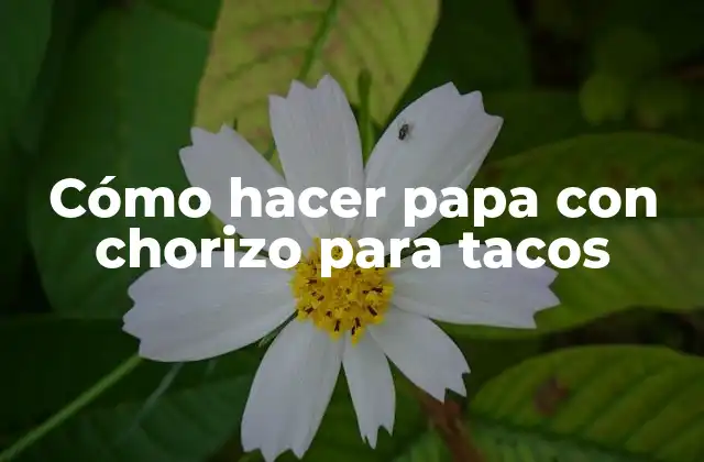 Cómo Hacer Papa con Chorizo para Tacos
