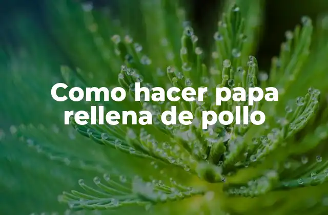 Como Hacer Papa Rellena de Pollo