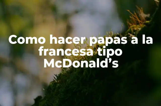 Como Hacer Papas a la Francesa Tipo Mcdonald’s