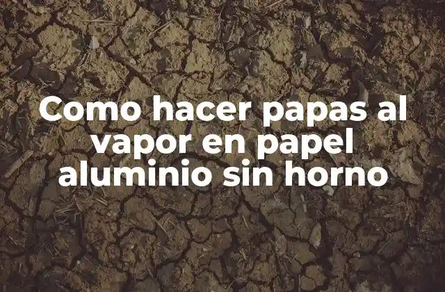 Como Hacer Papas Al Vapor en Papel Aluminio sin Horno