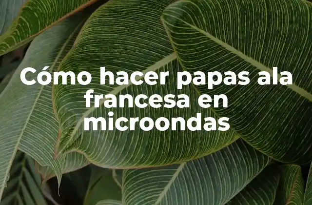 Cómo Hacer Papas Ala Francesa en Microondas