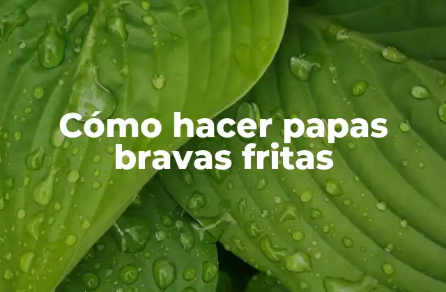 ¿Qué son las papas bravas fritas?