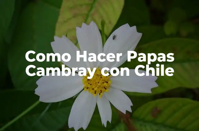 Como Hacer Papas Cambray con Chile