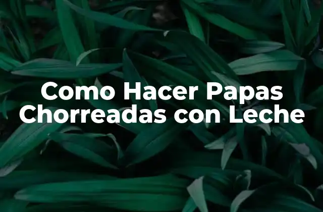 Como Hacer Papas Chorreadas con Leche 2 ¿Qué son las Papas Chorreadas con Leche y para qué Sirven?