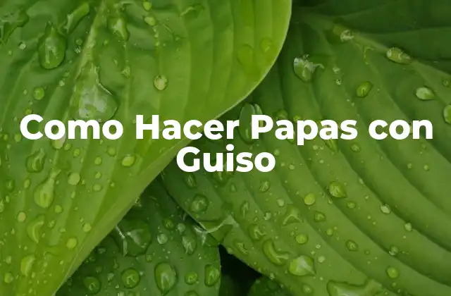 ¿Qué son las Papas con Guiso y para Qué Sirven?
