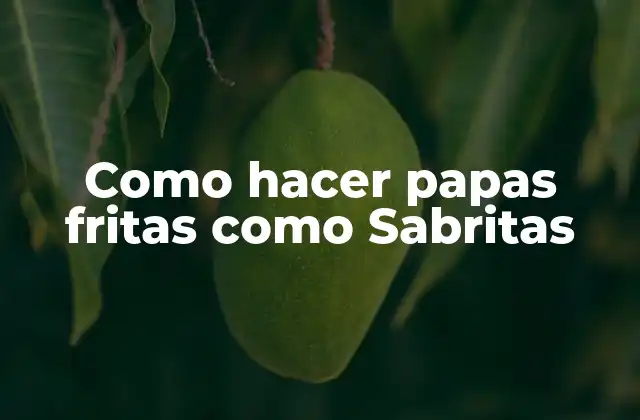 Como Hacer Papas Fritas como Sabritas