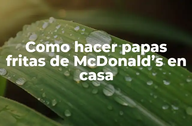 Como Hacer Papas Fritas de Mcdonald’s en Casa