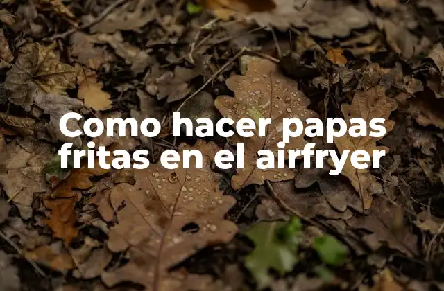 Como Hacer Papas Fritas en el Airfryer