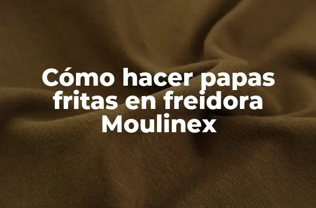 Cómo Hacer Papas Fritas en Freidora Moulinex